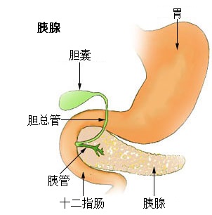 糖尿病是怎么回事?小心,你也有可能会患上!